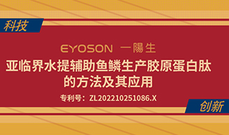 再获专利 | 引领活性肽工业化的科技先锋，助力海洋资源可一连