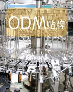 BG视讯·(大游集团)唯一官方网站